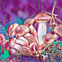 TrippyTrip