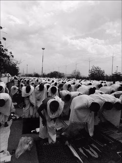 Item #104023740810564835841193669155962903667755292724793948450672365529751890165761 Media