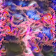 26861824962034553497323488630004723256228230807472504480681910623543777820673