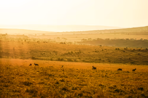 Item #112687108726403883410693318050335134033730152849283902503465333985850465189889 Media