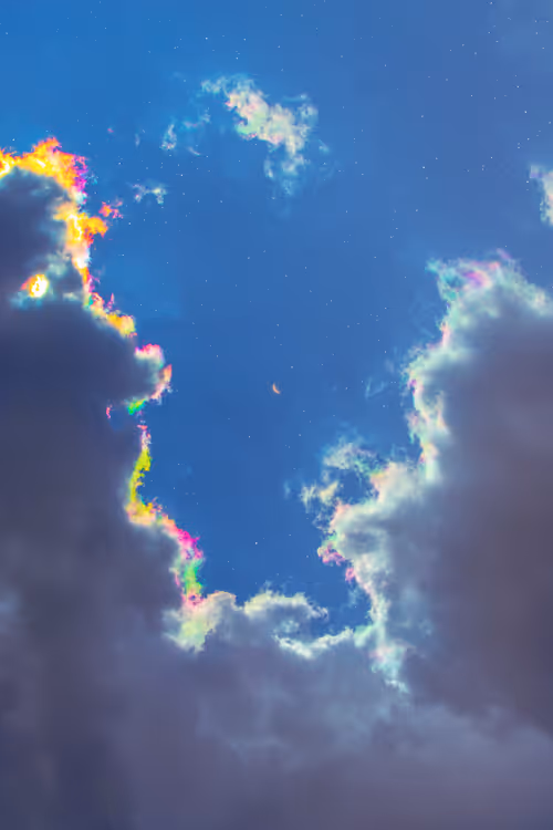 Item #9516099056367242152996622501750151802451978225621664057436231490738818383873 Media