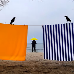 Revenge of the Crow
