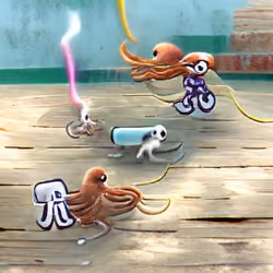 squids 