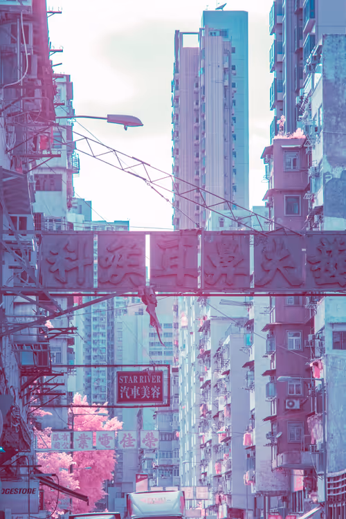 Item #51038767389134457626930617169090287934471579480777975785156342563413243723777 Media