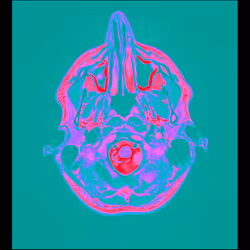 64162533542198579898252916190583583845604629893829087458582975566572110741505