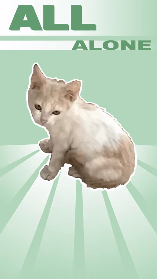 Item #39131870878443609504230106724730931861101567602754011991787220841660122398721 Media