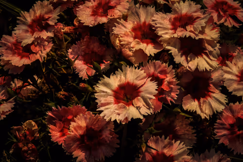 Item #1448819722811812157553440872911488319417736624981688873626406827663602745345 Media