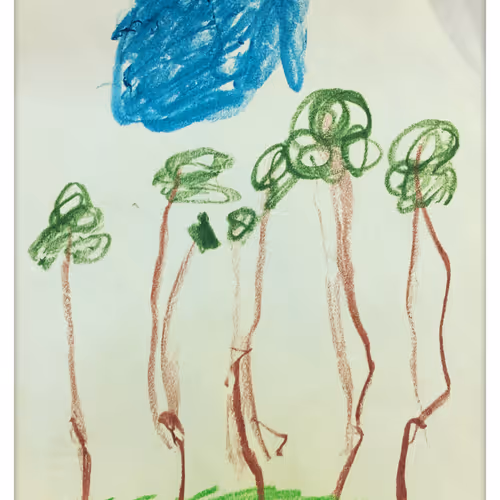 BlackMist Collection