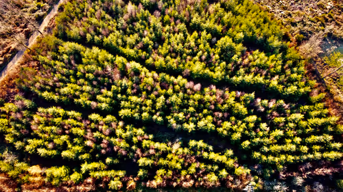 Item #53367914095033867977932657096598668065146213244156495122134932050352984293377 Media