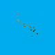 75141917017264930083837692578234640777116663273155962941304341123526224248833