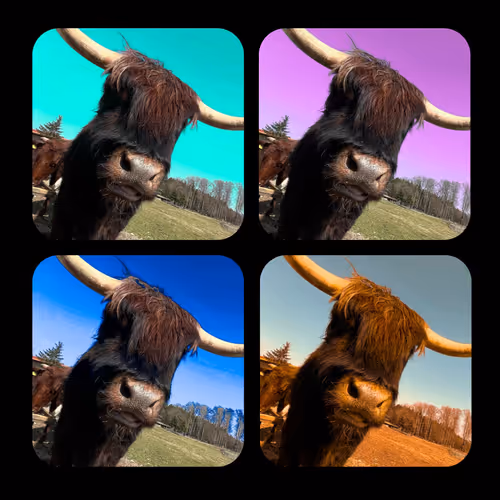 Item #26775048074564914634516076797283750363850479455184552721433135301512384217089 Media