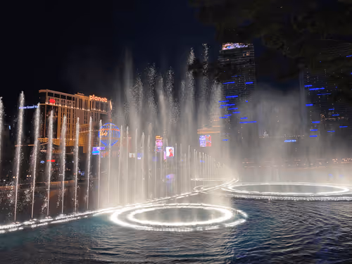 Untitled Collection #47058784