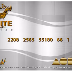 VIP Silver card