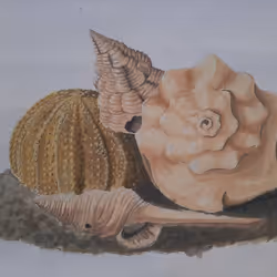 81257910070084939911306087265892870051894872720128802345631265743555197403137