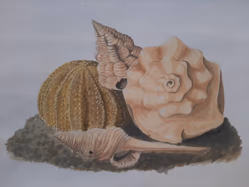 Item #81257910070084939911306087265892870051894872720128802345631265743555197403137 Media