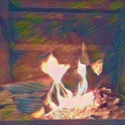SHROOM FIRE