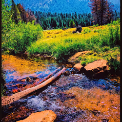 81502579898277150353033734927483914682173799916853565085596411552094295687169