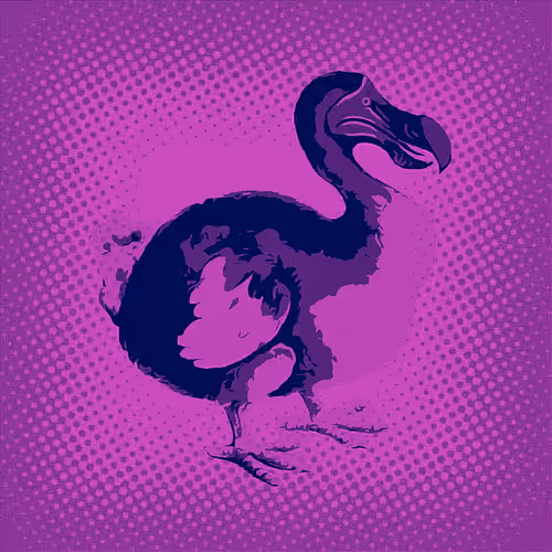 Item #17635803375648012338610213380030160191715370757553255260744606433798508249089 Media