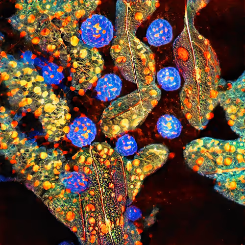 Item #81423580408588551200801073682850784470757564812203159627046903068317813047297 Media