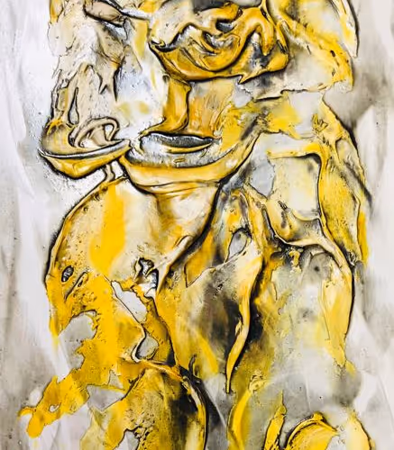 Untitled Collection #79335927