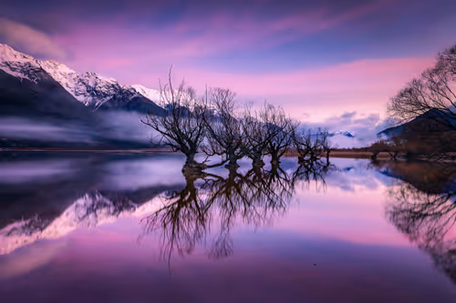 Item #98745491564379547554924435713421898077677728399868739538264606796352766083073 Media