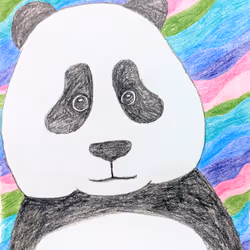 44465249674177750823554344521383022480736477502271812972114610380163812164584