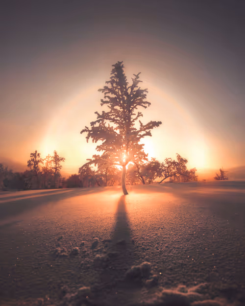 Item #134489906944514601836567189437532879130233761745768622289177284398945402881 Media