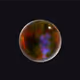 40804310071733365275887890528613580253170009105884358269229708397963523391489