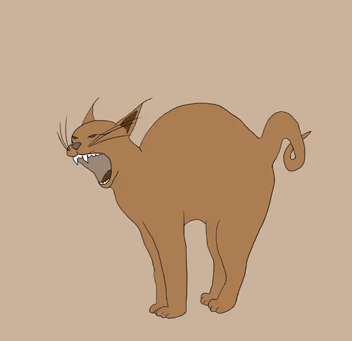 Item #82501695238456590081308866052184754761151268186611192131211213961093615452161 Media