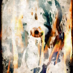 burned sight