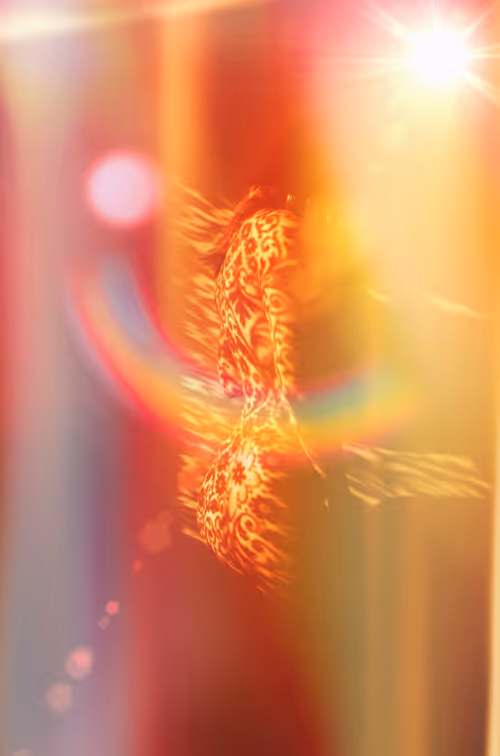 Item #40498021365110625873163859620955492987361950717153146364459205402363932180481 Media