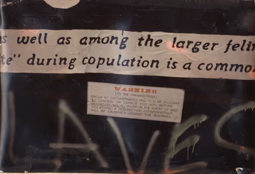 Item #26321359972833984351434126981753894799166725038868889816980362048148151992321 Media
