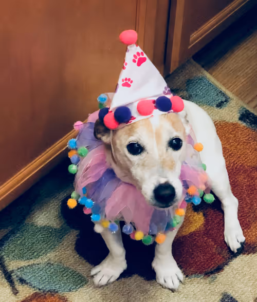 Item #5985210497355107417265215381210579199842884272282595265964883416608004898817 Media