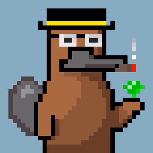 Platypunksofficial