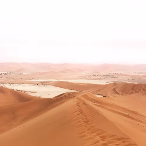 Item #28983806154019988982234389122970285076439486341566149619179108652114539184129 Media