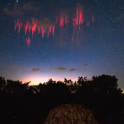 Chasing ghosts #3. Harvest sprites