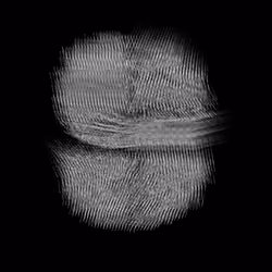 Homo Scriptus PT2022-M23
