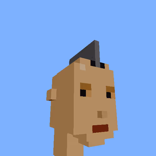 PunkVoxels #0559