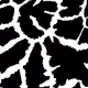 43969003265783643073399617182584010945054003237722696452996878661507702849537