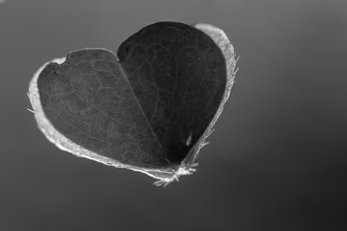 Item #53532806871377414762002313046978113508138147467496899965601038682112691011585 Media