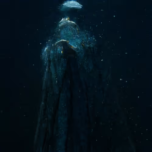 Item #81423580408588551200801073682850784470757564812203159627046902670294603792385 Media