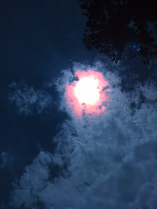 Item #106840752215848522448239535784232260256900731214271757322305935044811786551297 Media