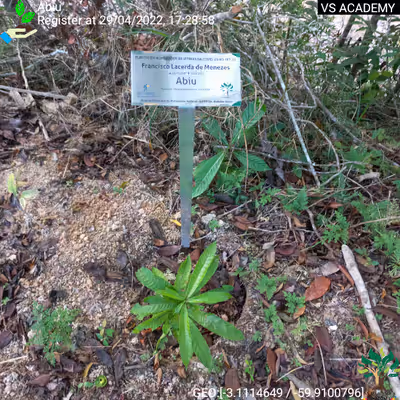 Item #8500196597889277390194123329501889087166328879864934763448348849005081395201 Media