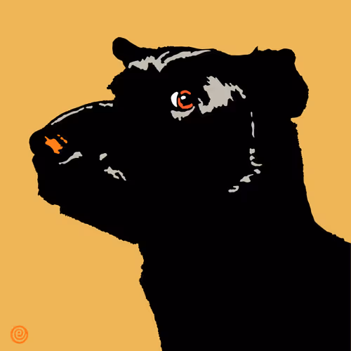 Item #1471147628704737889438767133014226167945868547252600766557675661062999900161 Media