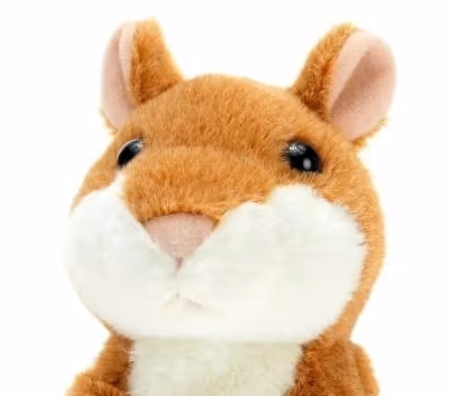 lexiangel Collection