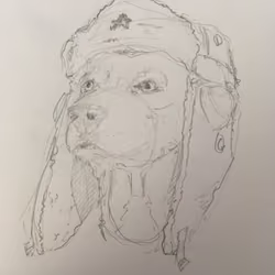 Soviet DOG