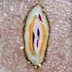 YONI GEMS & JEWELS
