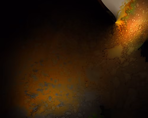 Hidden Moon