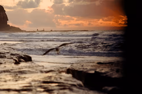 Item #29158143519667306174679199233279327141713317366366149551083667375119658909697 Media