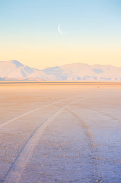 Item #39071023685345521589531013450918722216572370939070752972983331687206760742913 Media